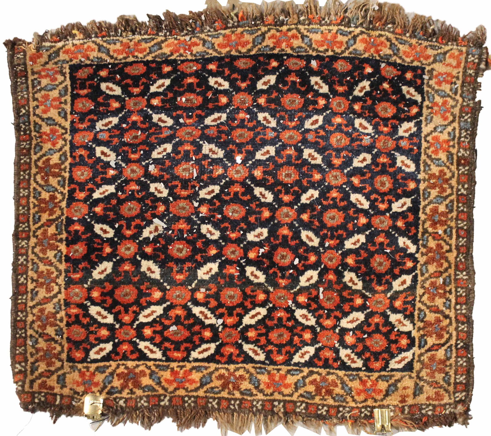 Oriental Style Kurdish Bagface (1 of 3)