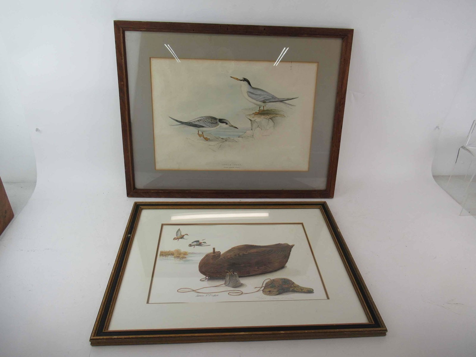 Little Tern Colored Lithograph: Little Tern Colored Lithograph, not examined outside frame. Together with duck decoy print, pencil numbered 156/450 and pencil signed James P. Fisher. Used condition, wear, worn, foxing, mat burn, sta