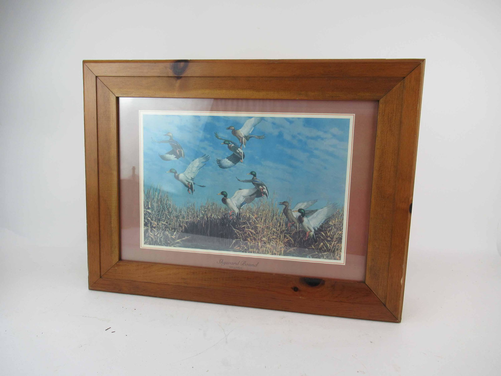 Pine Hanging Wall Cabinet Skyward Bound Mallards: Pine Hanging Wall Cabinet with Skyward Bound Mallards print. Having fall front door opening into shelves. Used condition, fading to print. 24" wide x 18" x 5" deep