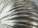 Buccellati Italy Sterling Silver Flower Dish - 5