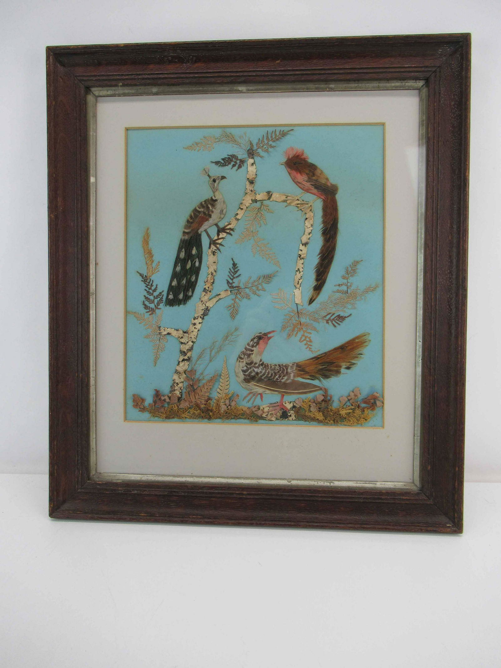 Victorian Framed Feather Work of Perched Birds (1 of 5)