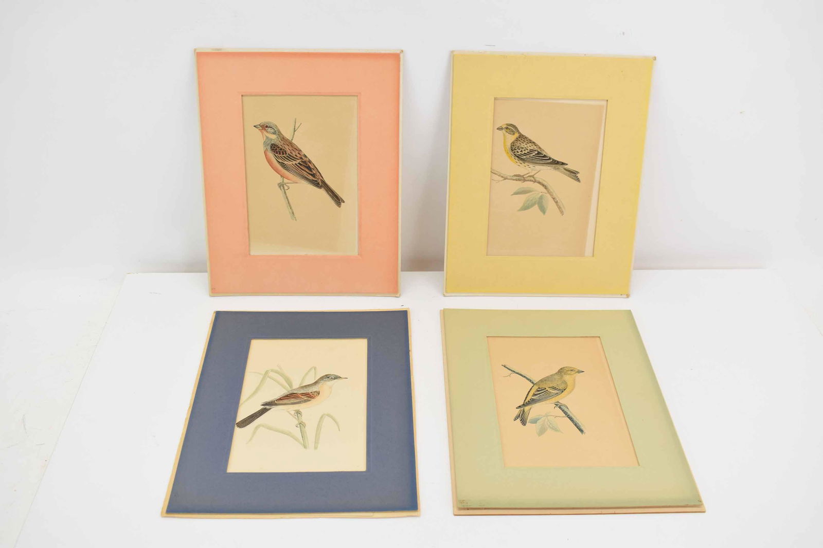 4 Vintage Assorted Colored Bird Prints (1 of 9)