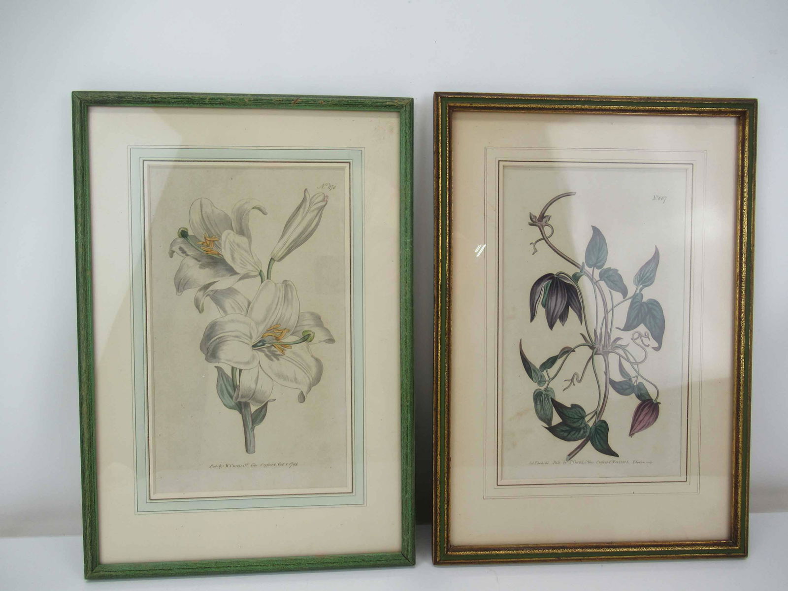 Two Antique Curtis Hand-Colored Botanical Prints (1 of 5)