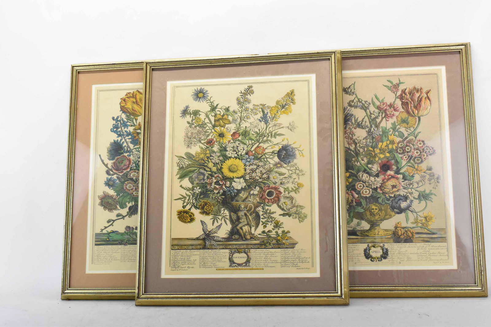 3 Framed Botanical Calendar Prints (1 of 6)