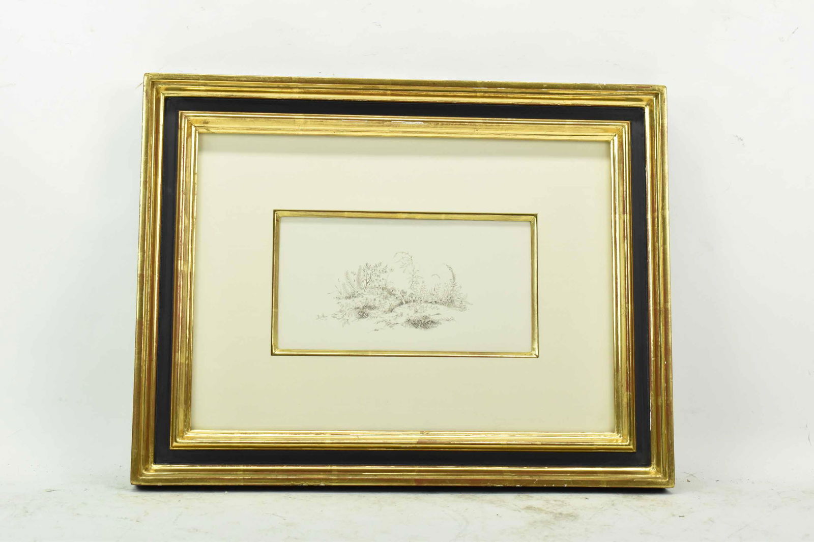 David Holmes Pencil Drawing Wild Flowers (1 of 6)