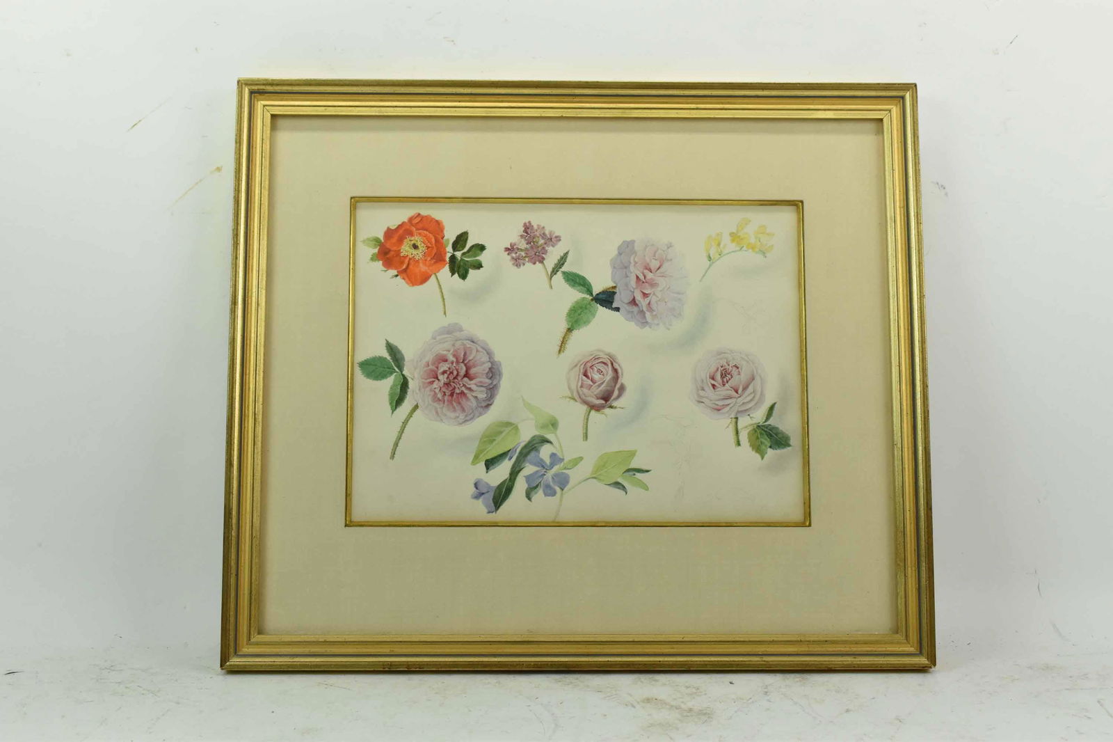 Watercolor on Paper Study of Flowers (1 of 5)