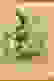 item-94539565=2