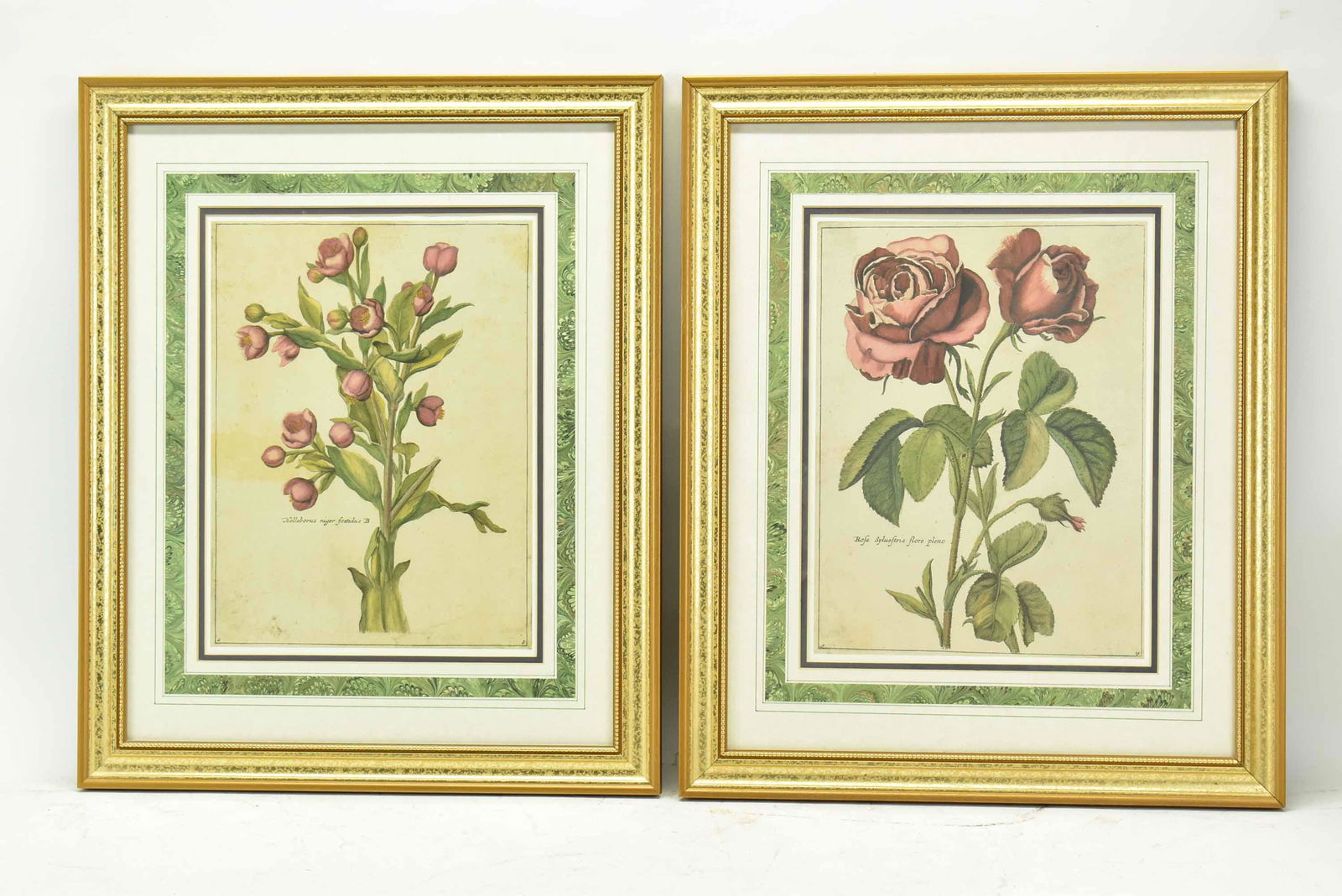 Two Botanical Paul Theodor van Brussel Art Prints (1 of 9)