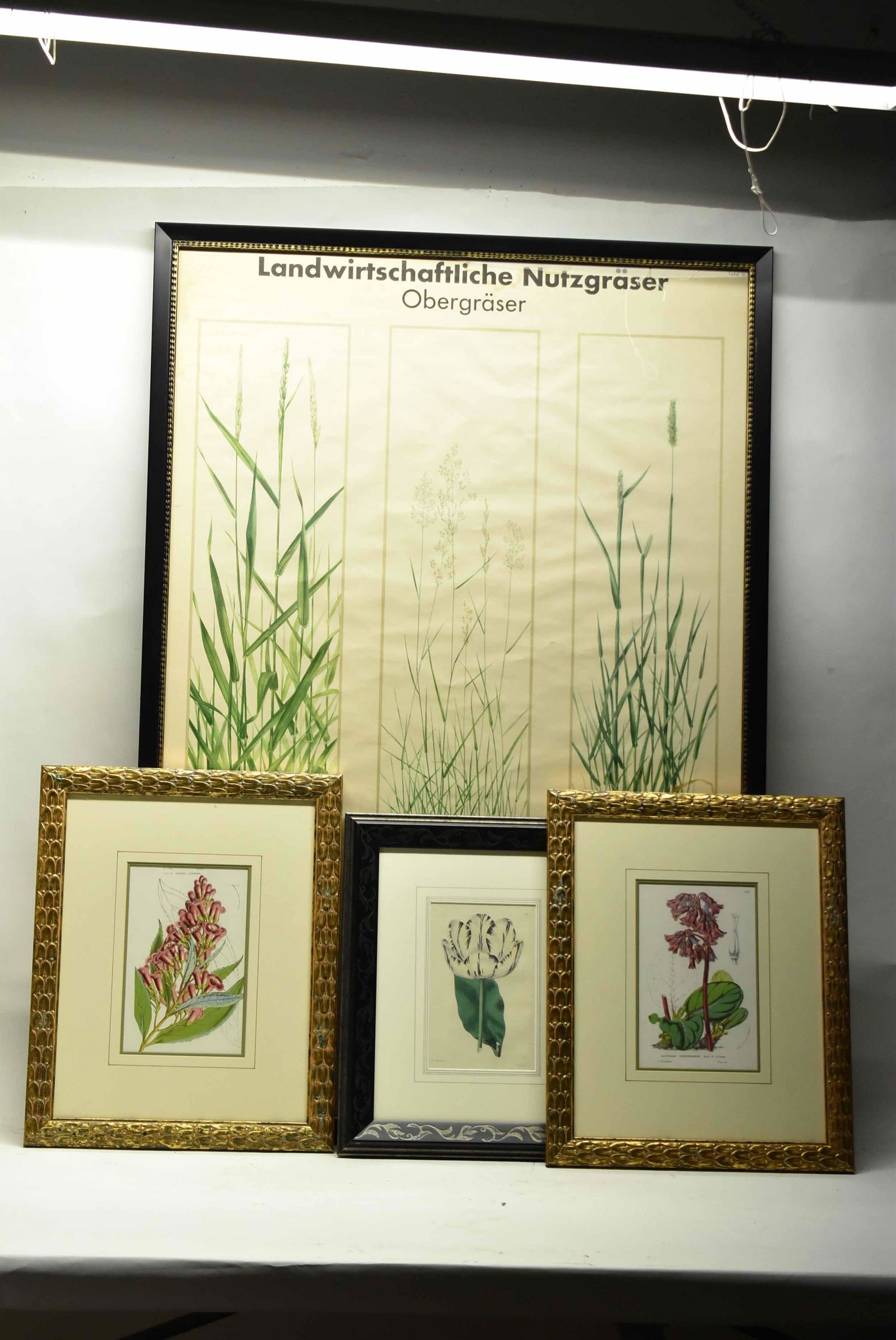 Group of Four Assorted Botanical Art Works (1 of 7)