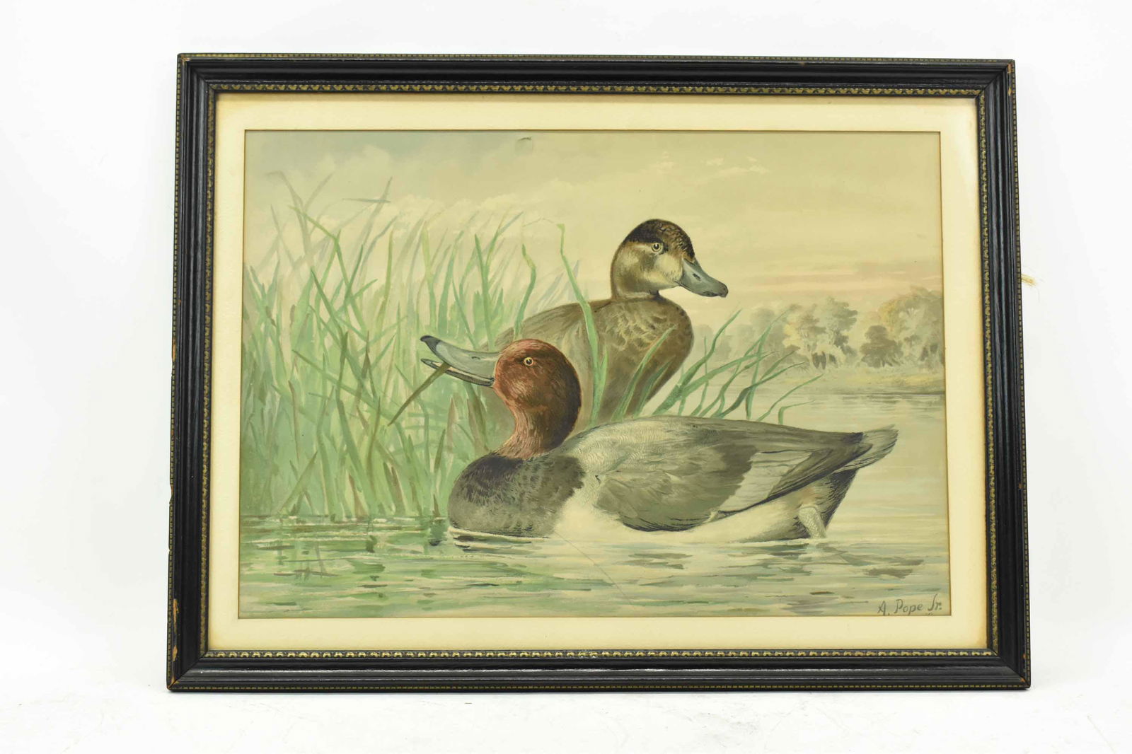 Alexander Pope Jr Chromolithograph of Ducks (1 of 7)