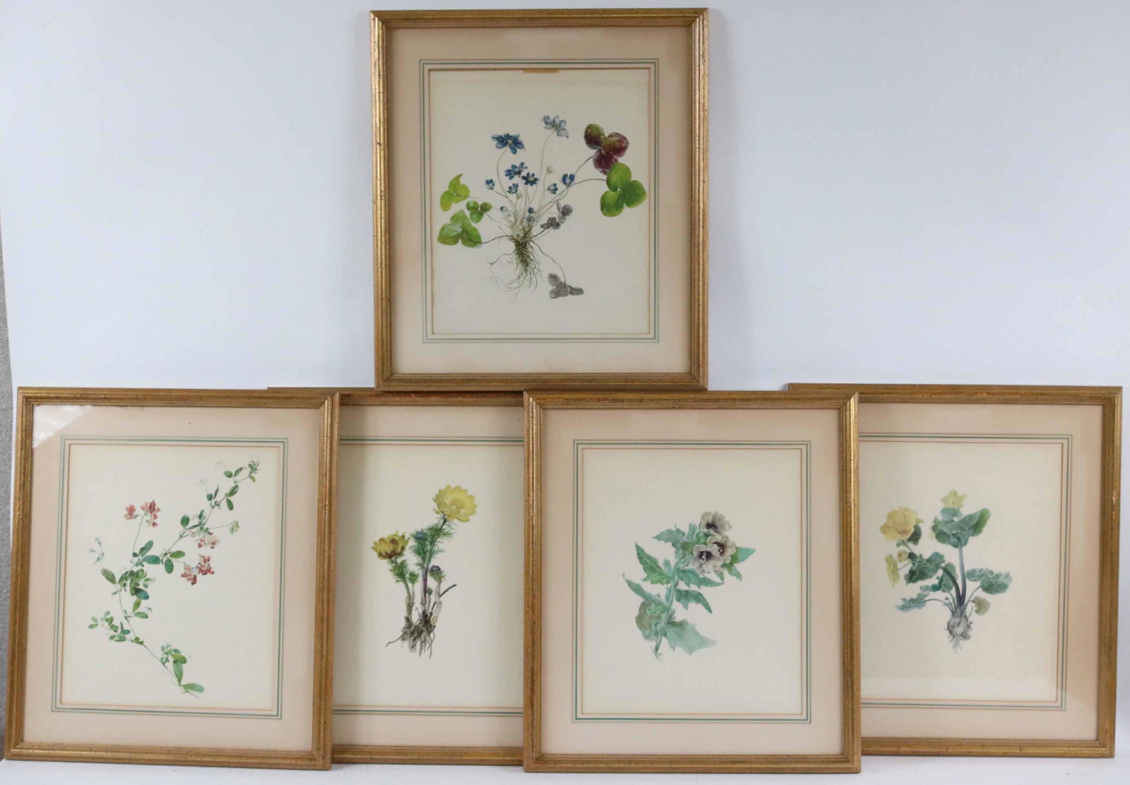 Five Botanical Prints (1 of 7)