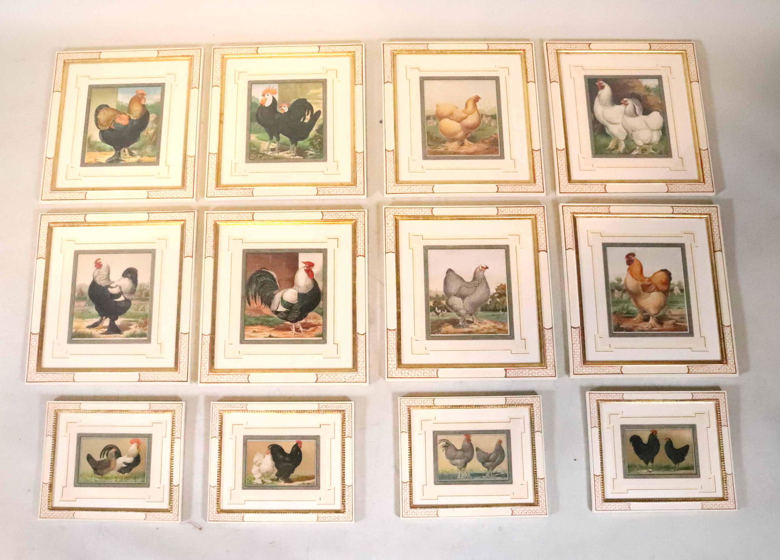 Twelve Chromolithographs, Chicken, Lewis Wright (1 of 11)