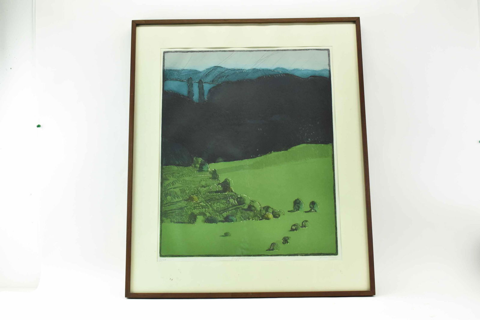 Linda Plotkin Original Etching Titled Buffalo Run (1 of 7)