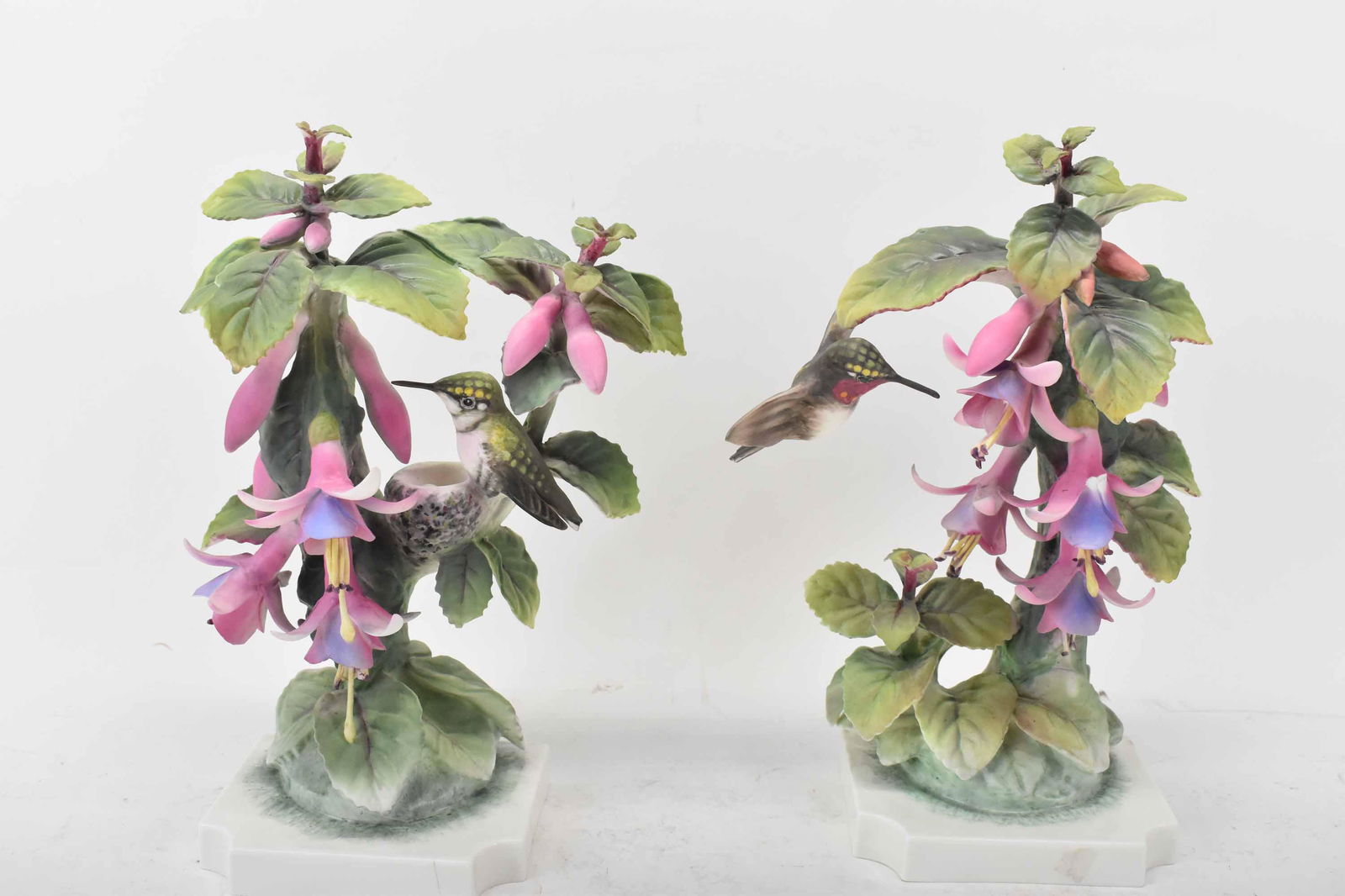Pair Dorothy Doughty Ruby Throated Humming Birds (1 of 11)