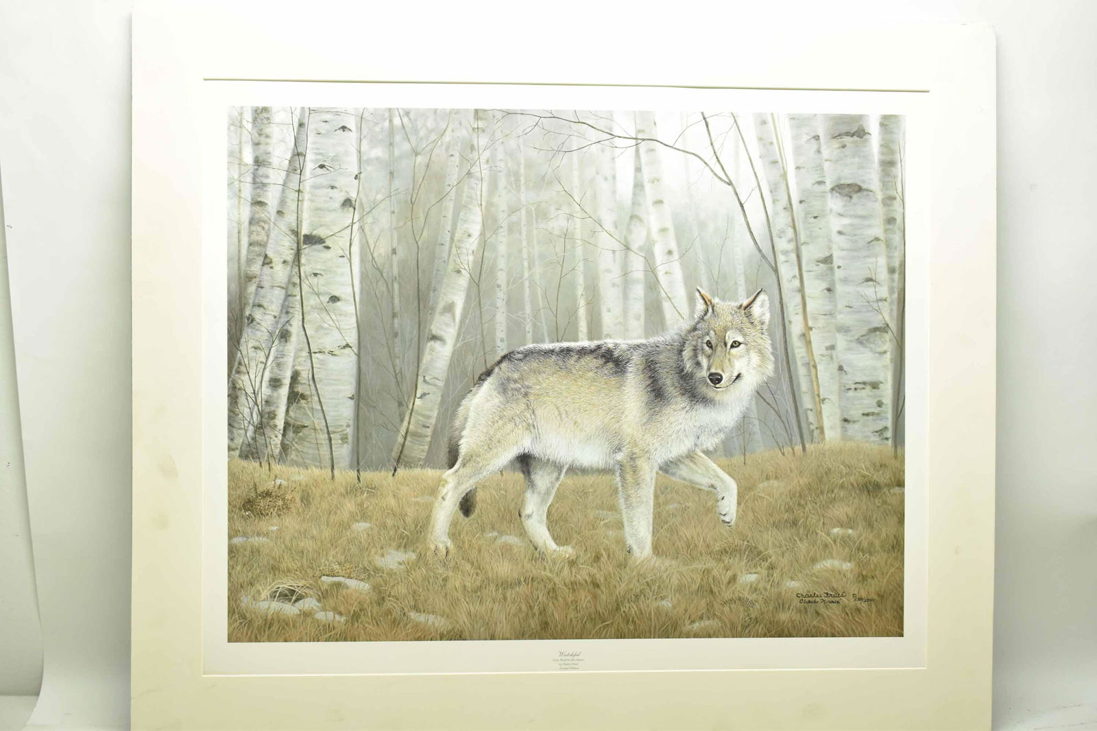 Charles Frace Limited Edition Signed Wolf Print (1 of 7)