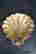 item-103830511=2