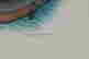 item-105751070=3