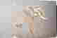 item-105751072=2