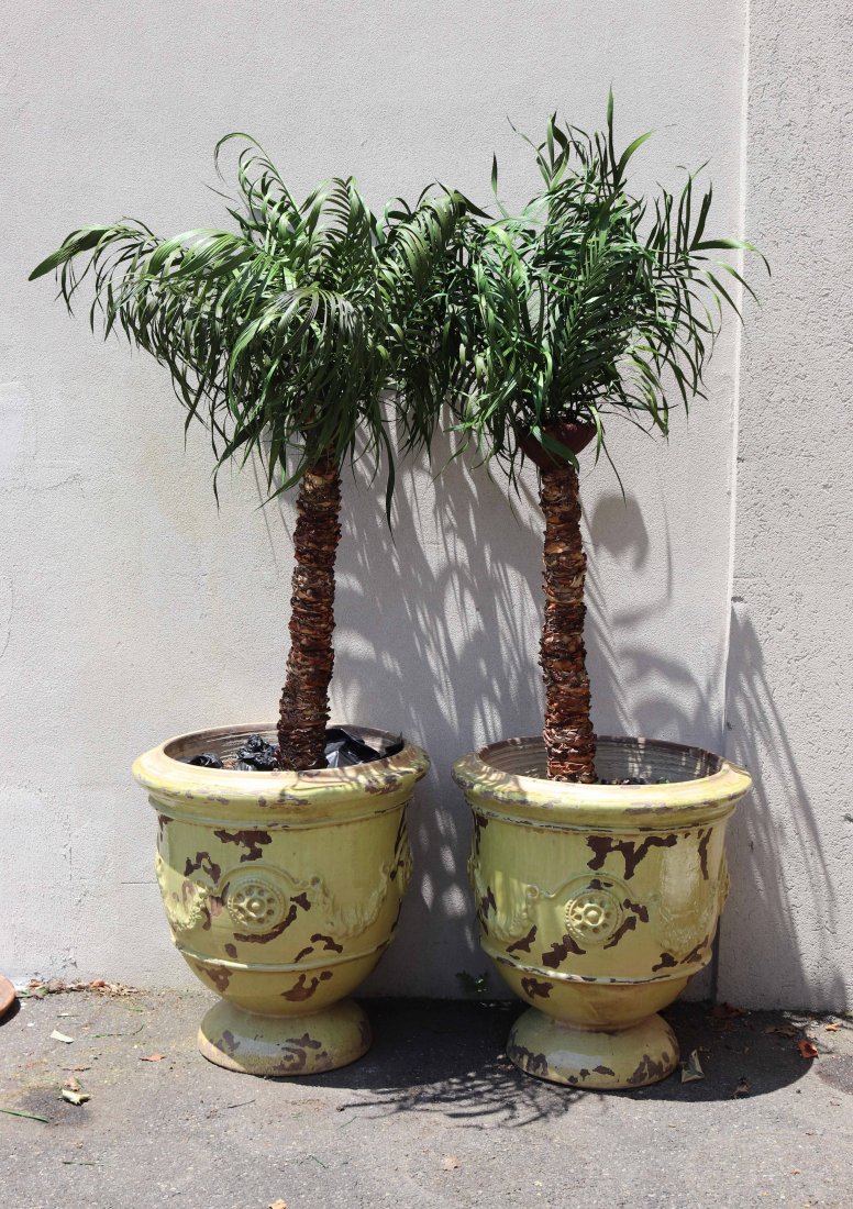Pair of Yellow-Glazed Earthenware Planters: Of impressive size, with palm trees. Losses, surface distress. 30-1/2"h x 30-1/2"dia. Property from a Short Hills, NJ and San Francisco, CA Private Collection