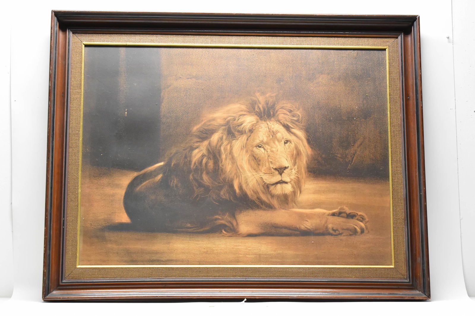 Rosa Bonheur Style Lion Lithograph on Paper: Rosa Bonheur Style Lion Lithograph on Paper depicting old lion laying down. Used condition, wear, worn, some losses, repair. Frame size 44" x 34 1/2"
