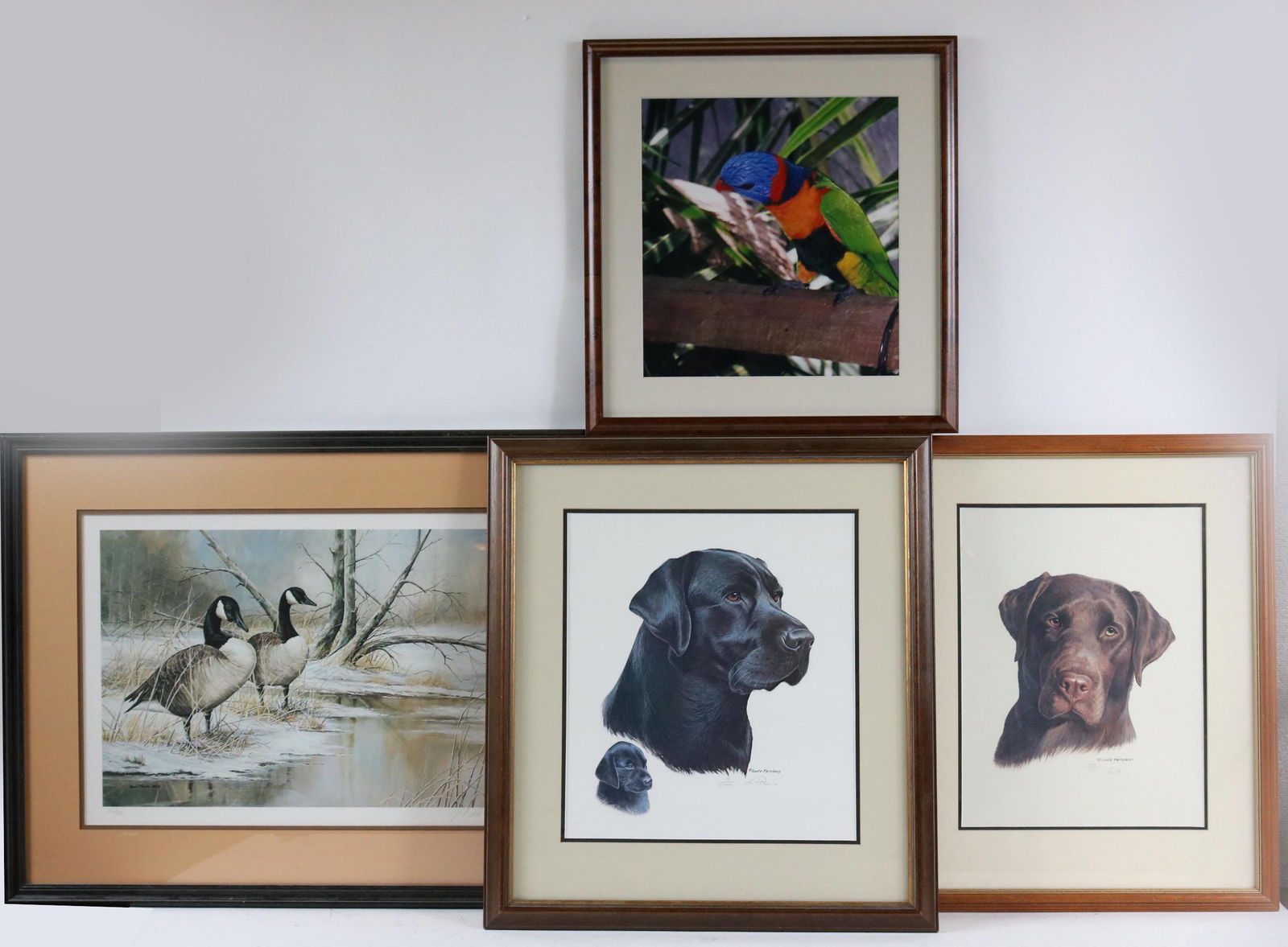 Two Louis Frisinu Prints of Labradors (1 of 6)