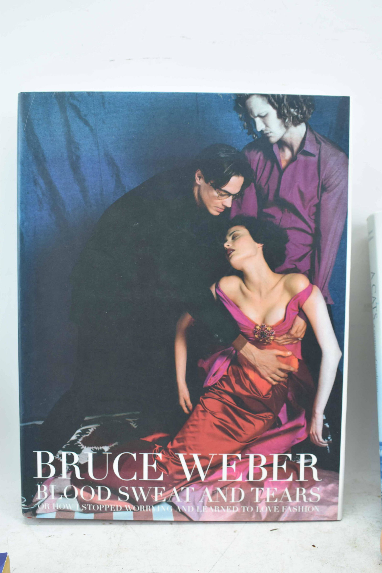 Bruce Weber Blood Sweat and Tears 1st Edition: Bruce Weber Blood Sweat and Tears or How I Stopped Worrying and Learned to Love Fashion, Hardcover 2005 1st Edition, together with a group of fiction novels including A Wedding in December, The Thief 