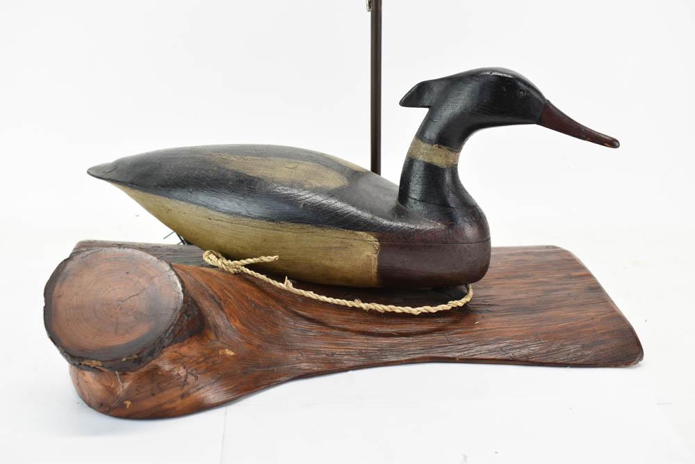 American Merganser Drake (1 of 9)