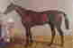 item-114371026=2