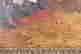 item-114371026=3
