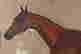 item-114371026=4