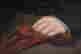 item-114381869=5