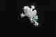 item-117729175=4