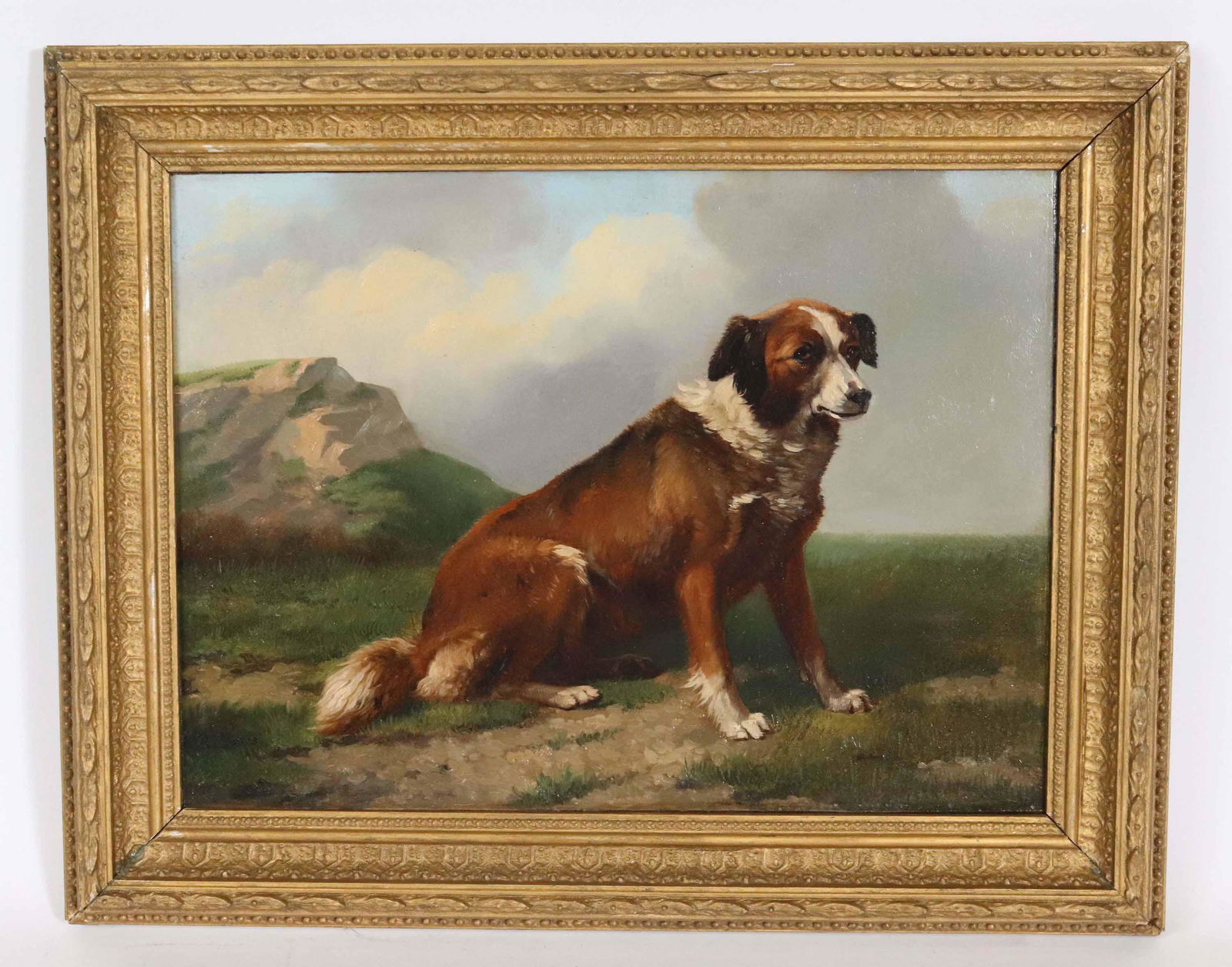 H. Jones, Bernese Mountain Dog (1 of 10)