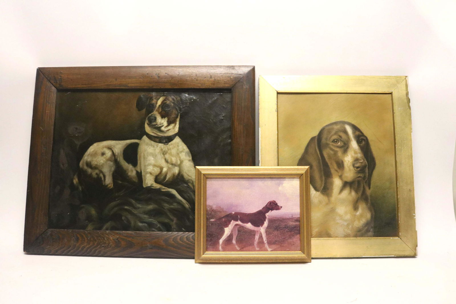 Leon Lippert, Portrait of a Hound (1 of 12)