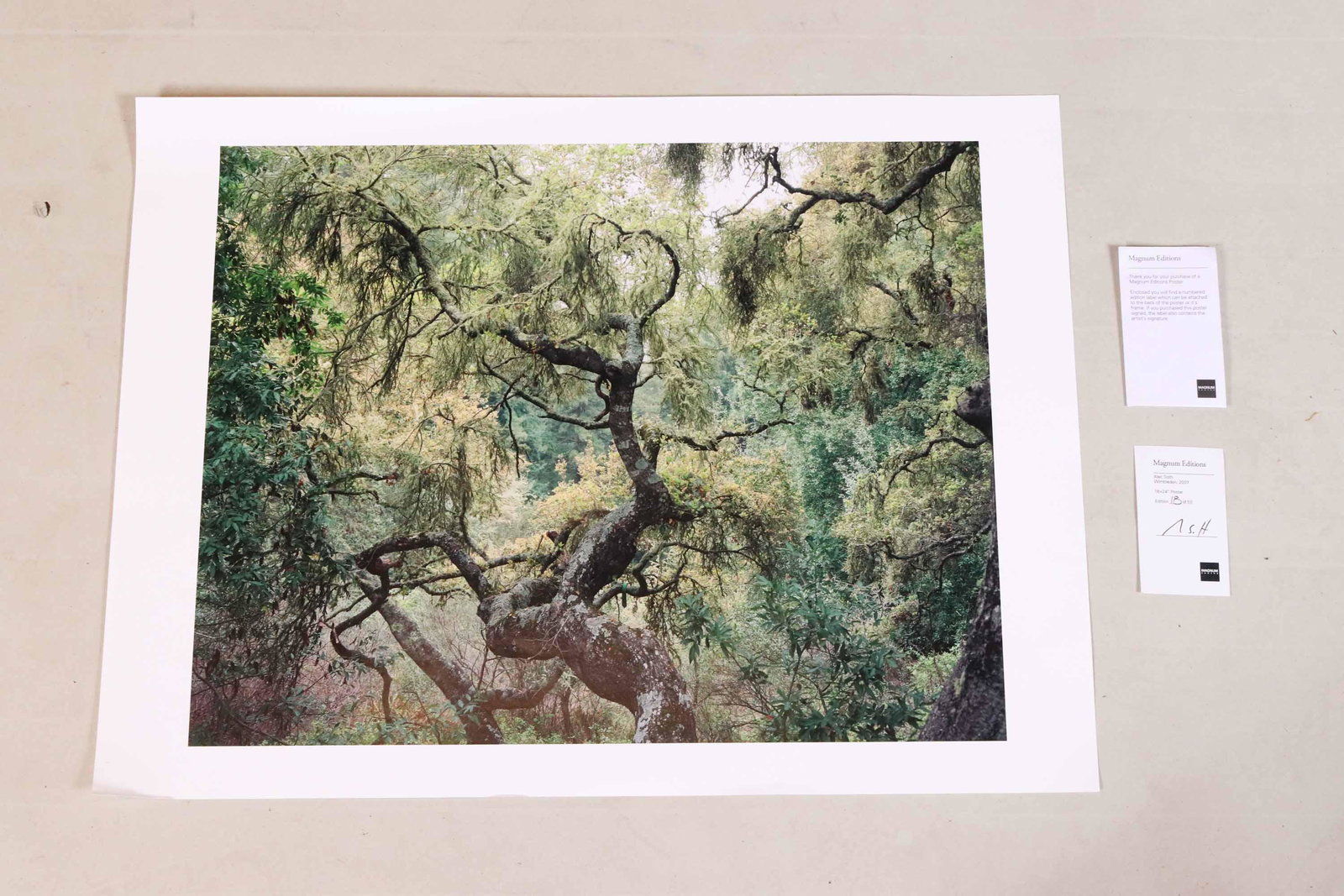 Alec Soth, 'Cry Baby': Accompanied by a certificate of authenticity, signed and numbered 42/50