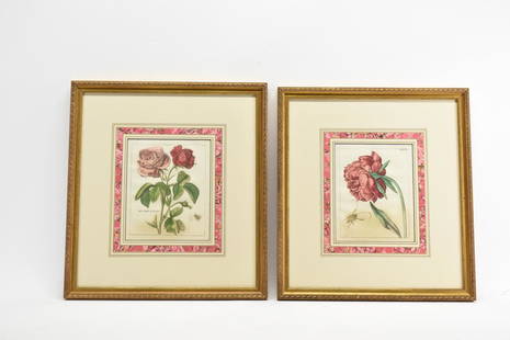 Two Hand Colored Engravings of Roses: Two Hand Colored Engravings of Roses attributed to Nicolas Robert, both appear unsigned Used condition, wear, worn, discoloration to bottom of each, warping, not examined outside frame Frame size 16-3