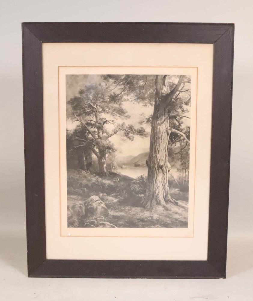 Burlington Proof Landscape Print