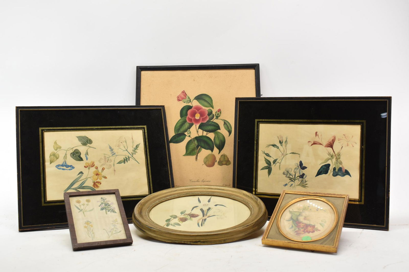Group of Botanical Prints and Illustrations (1 of 4)