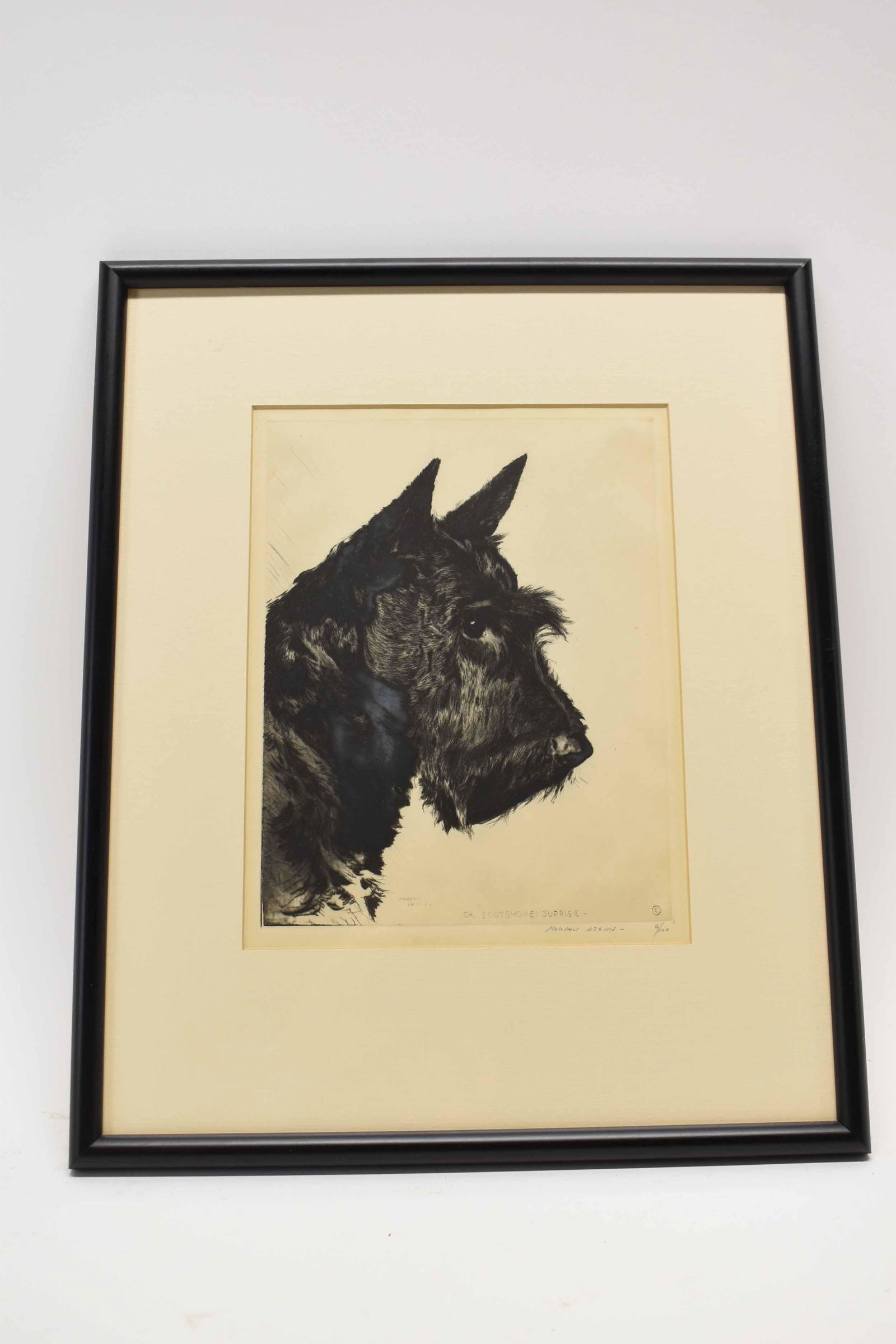 Morgan Dennis Etching of Scottish Terrier (1 of 5)