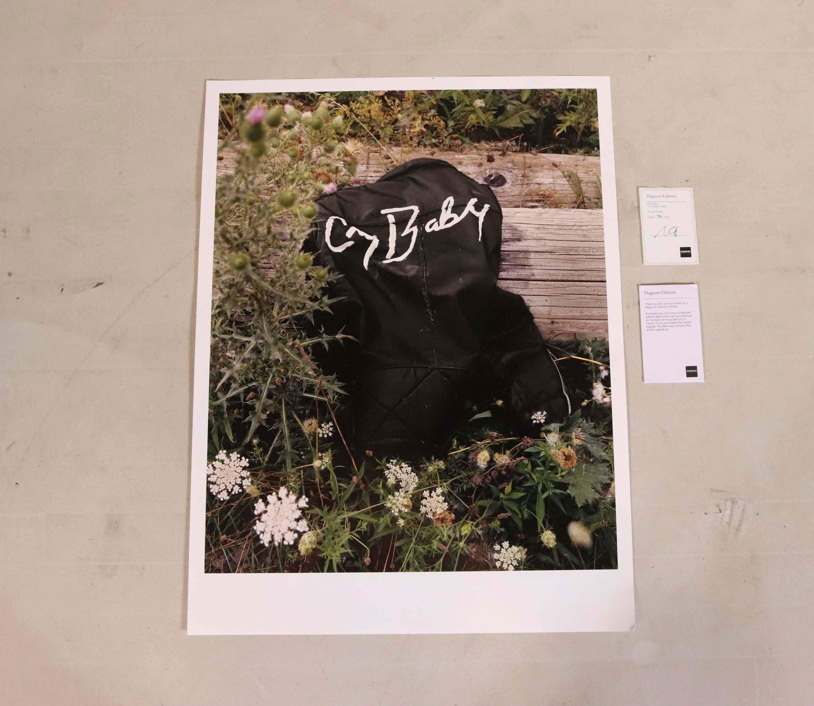 Alec Soth, 'Wimbledon': (American, b. 1969) signed and numbered 18/50 18"h x 24"w