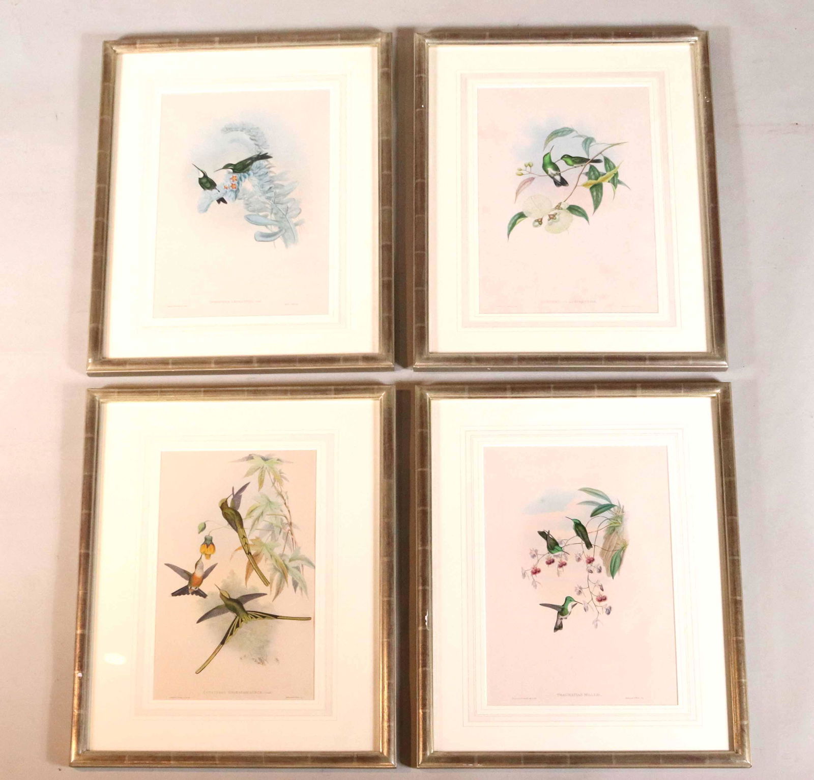 Four J. Gould Hummingbird Lithographs (1 of 12)