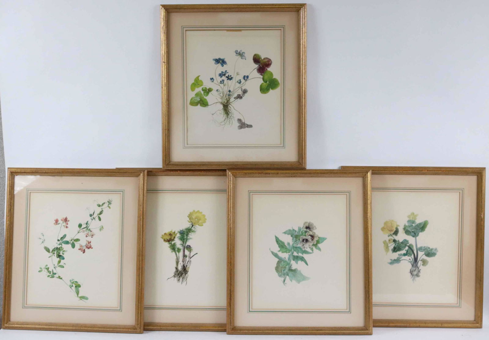 Five Botanical Prints (1 of 7)