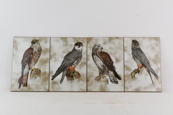 Four Italian Terra Cotta Tiles of Birds of Prey: Four Italian Terra Cotta Tiles depicting birds of prey 11-7/8" x 8"
