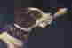 item-128516422=4