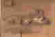 item-128516488=2