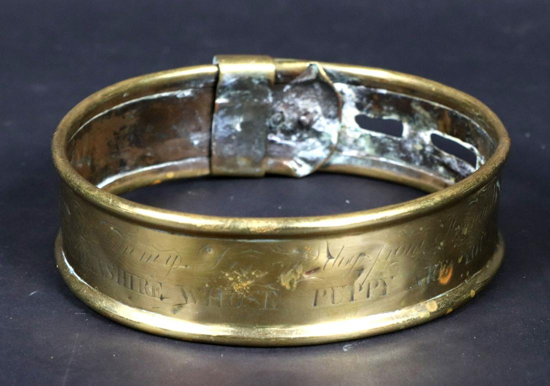 Brass Dog Collar (1 of 7)