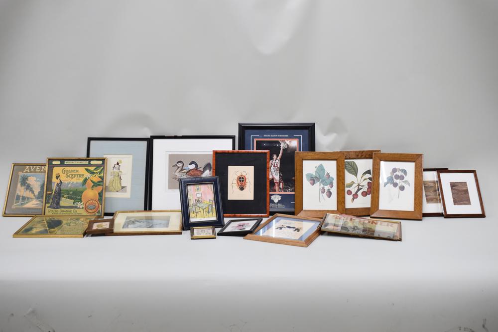 Group of Assorted Art Works: Group of Assorted Artworks including one water color of an insect, various art prints, a signed photo of David Lee, NY Knicks, a signed and numbered John Wilson 1981 Federal stamp print, vintage Citru
