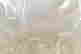 item-130912882=5