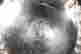 item-131687352=6