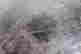 item-131687357=3